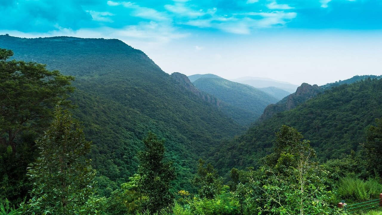 Discover Daringbadi Eco Retreat in Kandhamal, Odisha – the “Kashmir of Odisha.” Experience luxury glamping, tribal culture, waterfalls, pine forests, and adventure activities in this eco-friendly hill station.