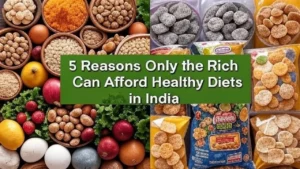 Food affordability in India: nutritious vs cheap meals comparison