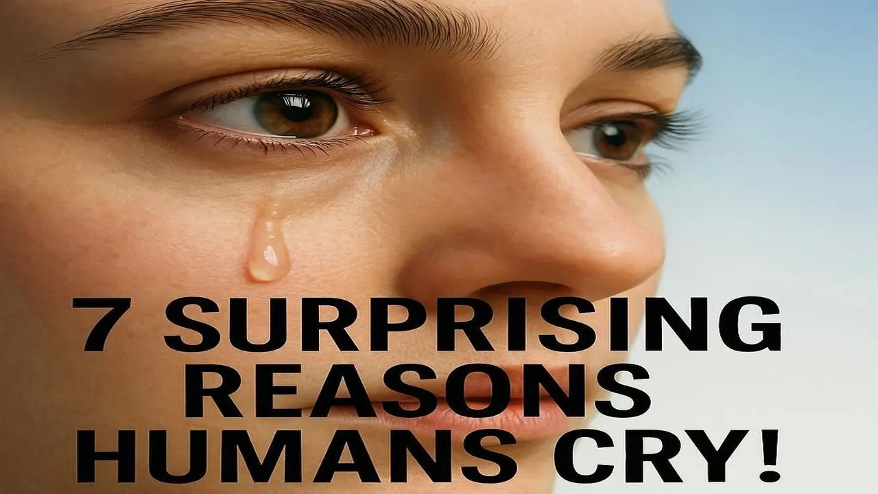 Why Do Humans Cry Emotional Tears